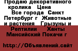 Продаю декоративного кролика › Цена ­ 500 - Все города, Санкт-Петербург г. Животные и растения » Грызуны и Рептилии   . Ханты-Мансийский,Покачи г.